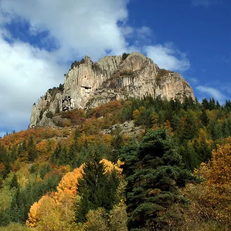 дара *