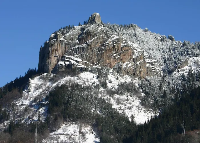 дара Смолян