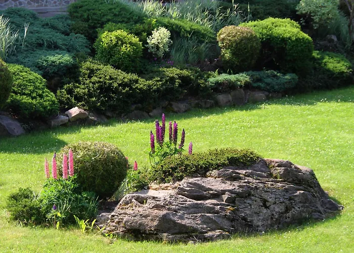 Apartment дара *